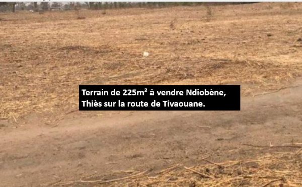 Terrains de 225 m² aux Lotissement Ndiobène sur la route de Tivaouane