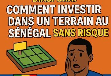 Le guide CHOC pour la Diaspora : Comment investir dans un terrain au Sénégal sans risque