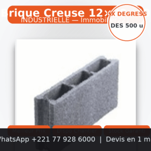Brique creuse 12x20x40 industrielle: le choix malin pour une construction économique et rapide au Sénégal