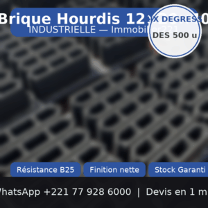 Brique Hourdis 12 20 40 : le choix expert pour votre construction au Sénégal