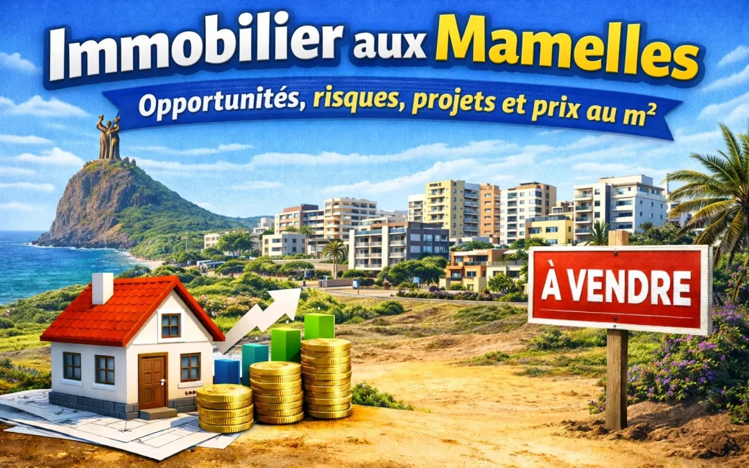 Immobilier aux Mamelles : opportunités, risques, projets et prix au m²