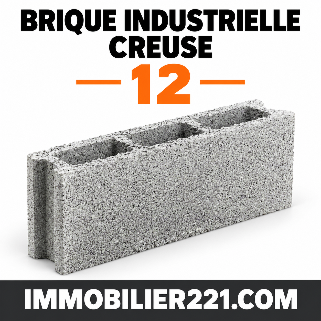 Brique industrielle creuse de 12 (12×50 & 12×40) – Devis & Livraison sur chantier au Sénégal