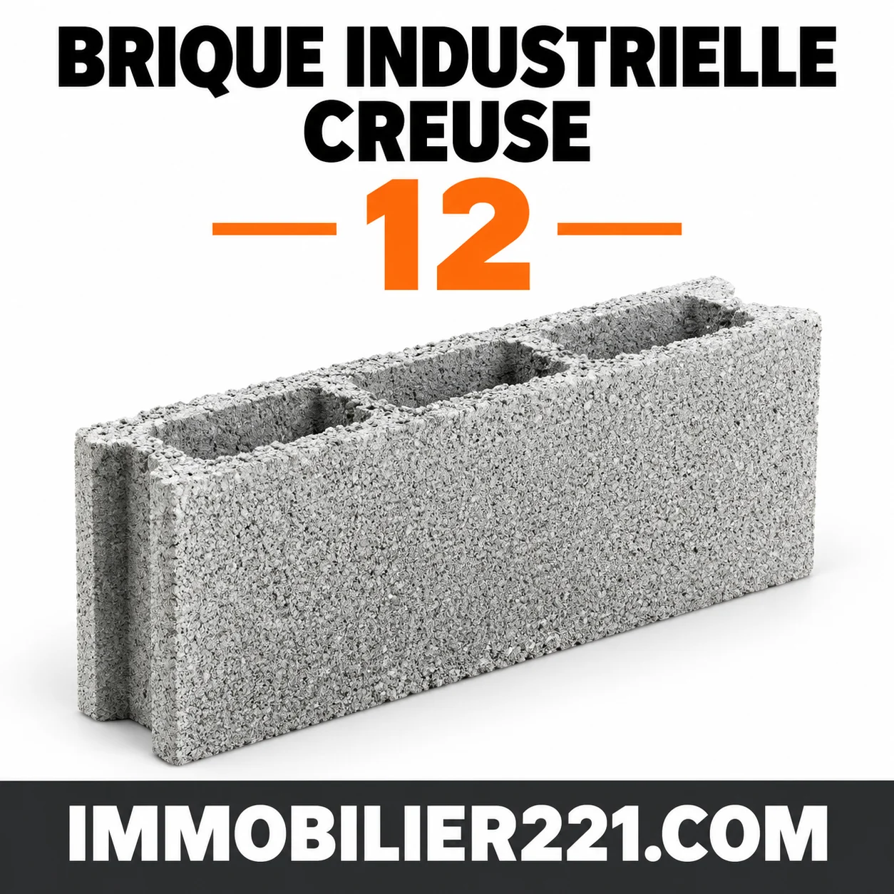 Brique industrielle creuse de 12 (12×50 & 12×40) – Devis & Livraison sur chantier au Sénégal