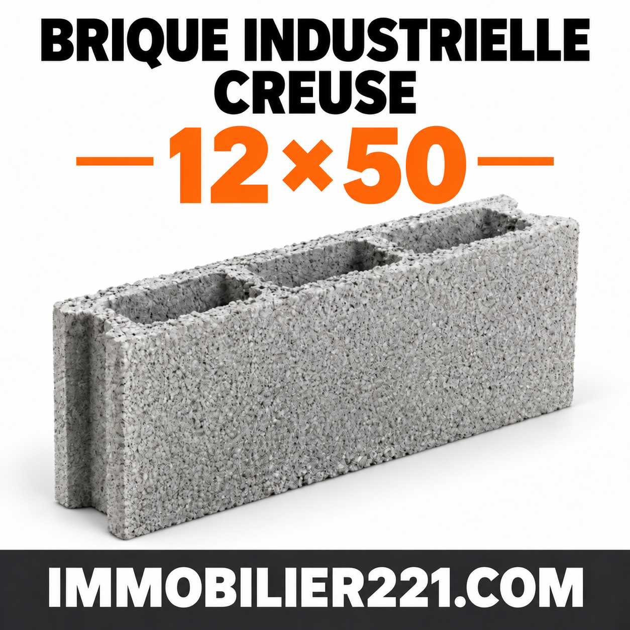 Brique industrielle creuse de 12 (12x50 & 12x40) – Devis & Livraison sur chantier au Sénégal – Image 3