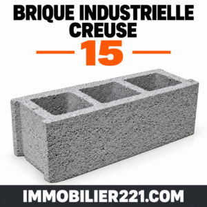 Brique industrielle creuse 15 au Sénégal – 15×40 ou 15×50