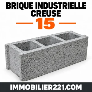 Brique industrielle creuse 15 au Sénégal – 15×40 ou 15×50