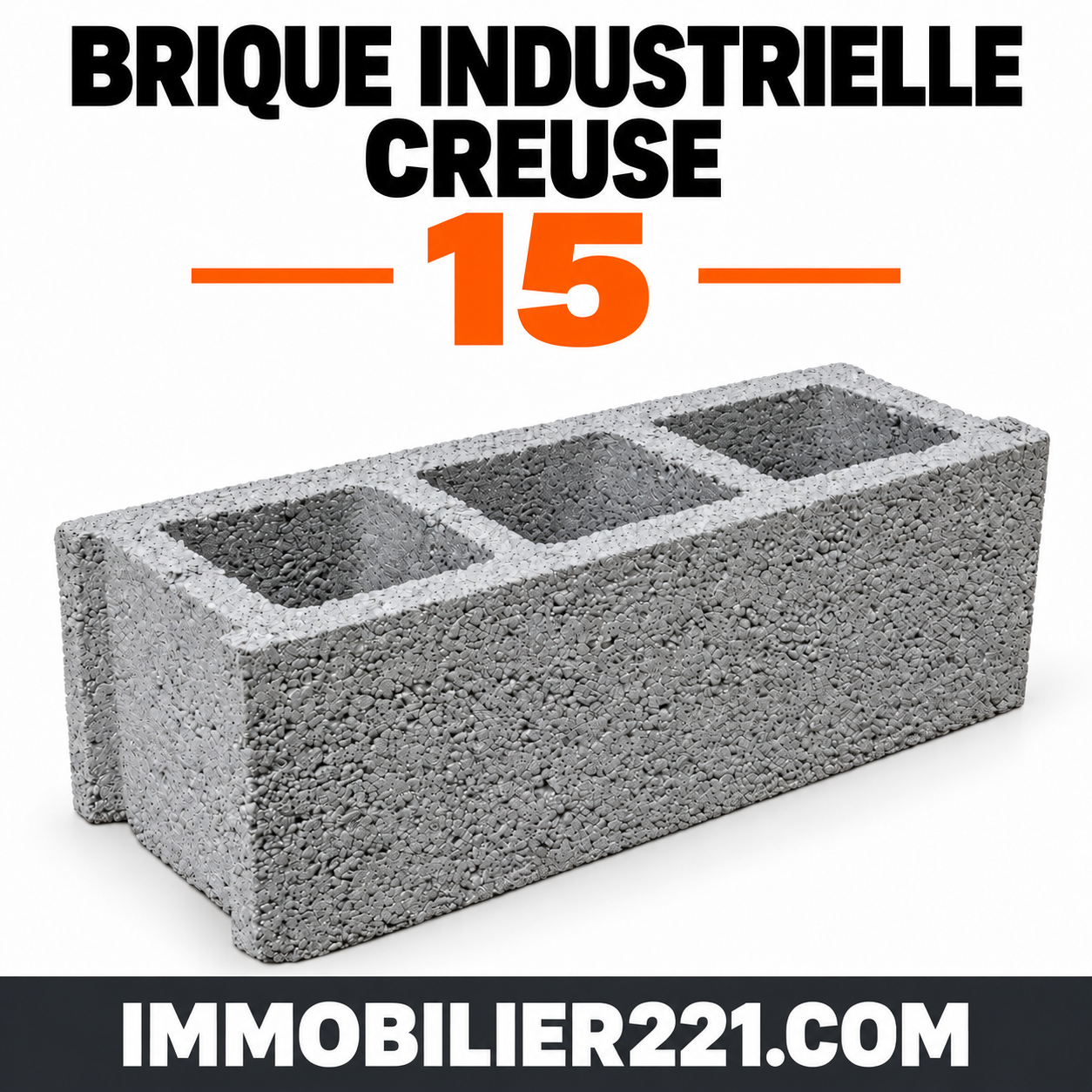 Brique industrielle creuse 15 au Sénégal – 15×40 ou 15×50