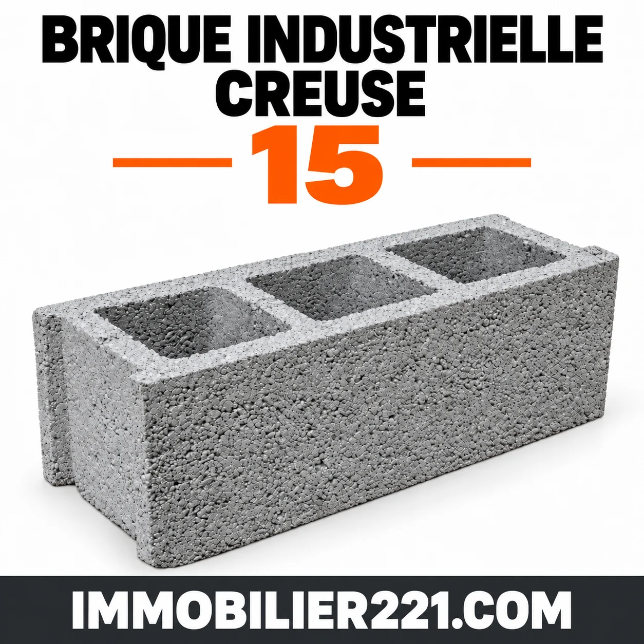 Brique industrielle creuse 15 au Sénégal – 15×40 ou 15×50