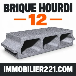 Brique hourdis 12 au Sénégal – Hourdis de 12 pour plancher
