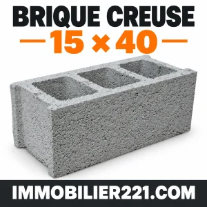 Brique vibrée creuse 15x40 au Sénégal – Brique de 15