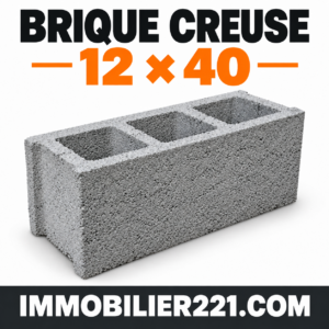 Brique vibrée creuse 12x40 au Sénégal – Brique de 12