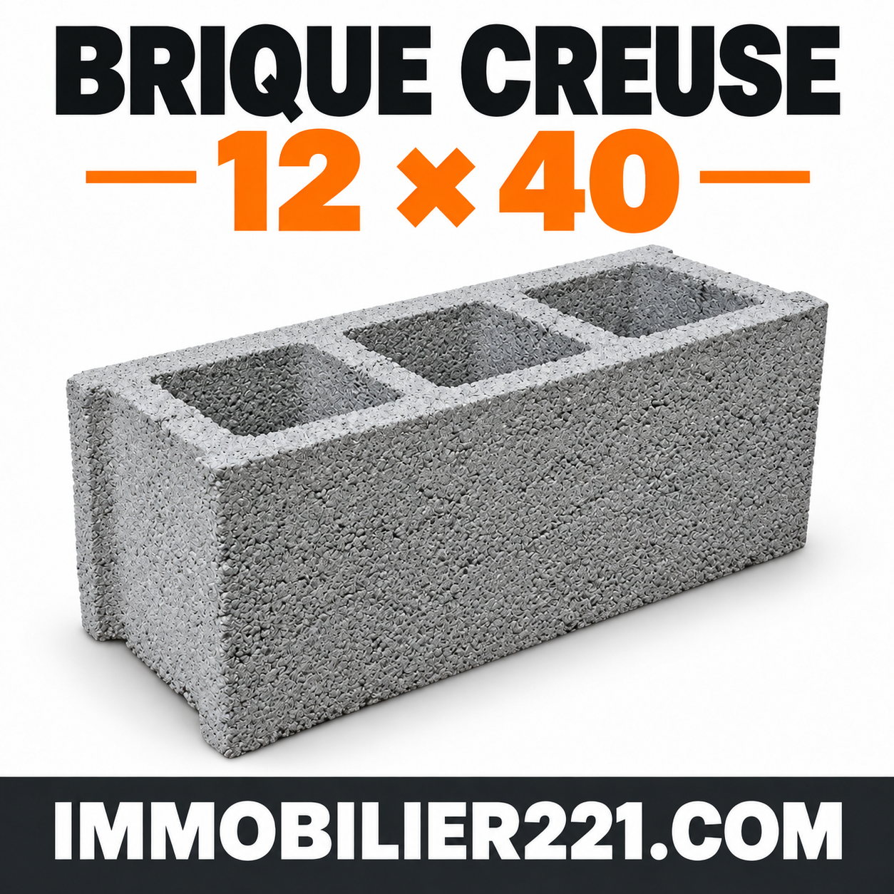 Brique vibrée creuse 12x40 au Sénégal – Brique de 12
